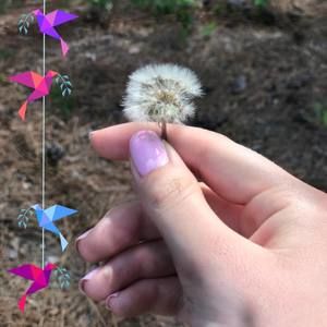 Meet your Posher, Allison